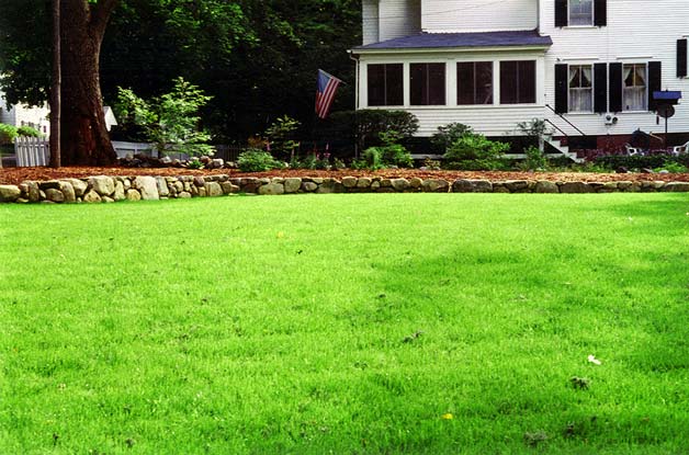 Let New Yard Landscaping transform your lawn